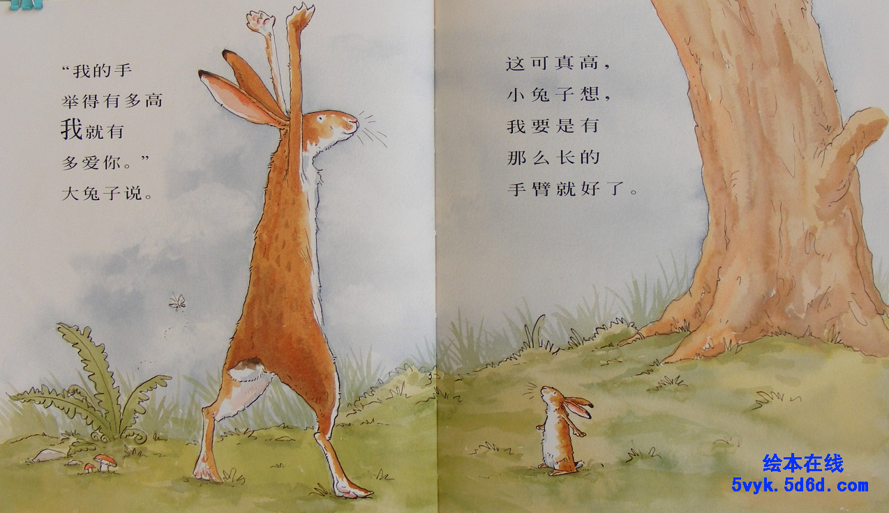 猜猜我有多爱你 (08),绘本,绘本故事,绘本阅读,故事书,童书,图画书,课外阅读
